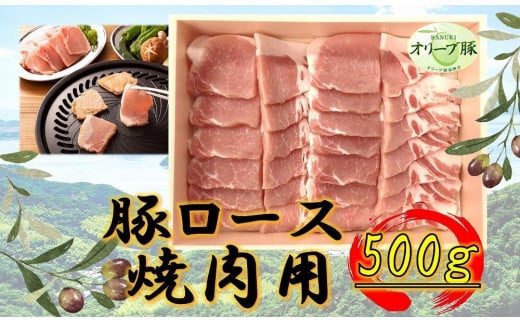 オリーブ豚 ロース焼肉用 500g香川県坂出市12000肉豚肉