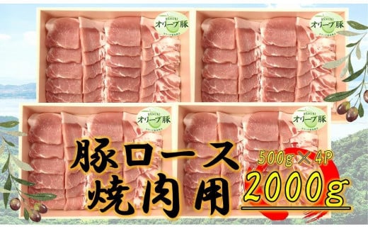 オリーブ豚 ロース焼肉用 2000g香川県坂出市40000肉豚肉