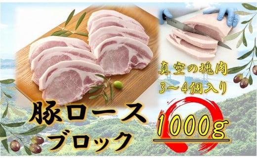 オリーブ豚 ロースブロック1000g香川県坂出市12000肉豚肉