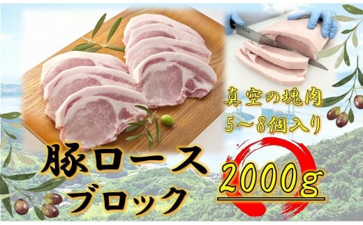 オリーブ豚 ロースブロック2000g香川県坂出市24000肉豚肉