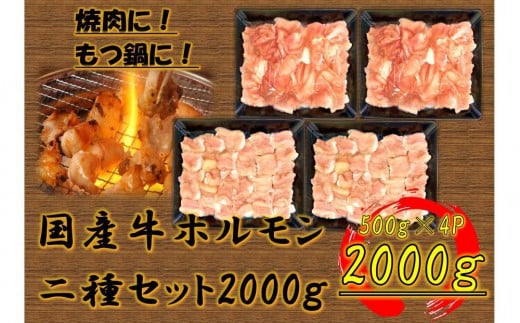 国産牛 ホルモン二種セット2000g香川県坂出市48000肉牛肉