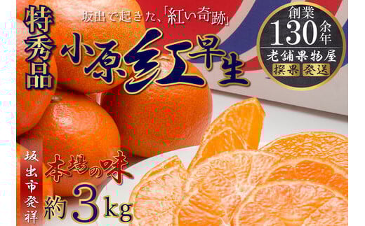特秀品!小原紅早生みかん 約3kg【坂出発祥の真っ紅なお蜜柑】香川県坂出市14000果物・フルーツみかん・柑橘類
