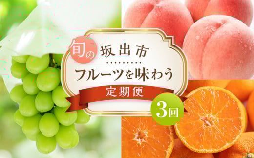 坂出市 旬のフルーツを味わう3回 定期便香川県坂出市38000果物・フルーツその他 果物・フルーツ