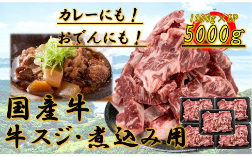 国産牛 スジ 5kg香川県坂出市46000肉牛肉