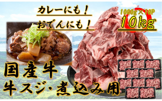 国産牛 スジ 10kg香川県坂出市90000肉牛肉