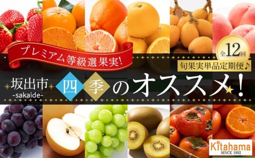 【全12回】《プレミアム等級選果実!》坂出市四季のオススメ!旬果実単品定期便♪香川県坂出市305000果物・フルーツその他 果物・フルーツ