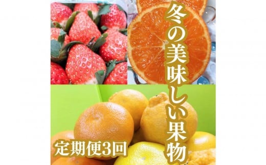 【定期便全3回】冬の美味しい果物香川県坂出市60000果物・フルーツみかん・柑橘類