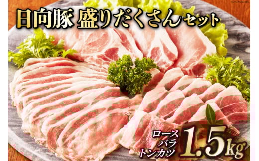  肾Zbg 1.5kg [JA݂₴ ؕ {茧 s 452060632]  ؓ  [X o Ԃ Ƃ񂩂 gJc{茧s14000ؓ