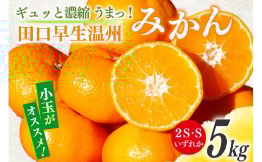 yԌ蔭z ݂ 5kg MbƔZk ܂I cB݂ 2SESꂩ [c_ {茧 s 452061306] ʕ t[c ~J  k{茧s10000ʕEt[c