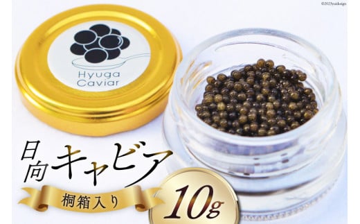 LrA LrA (Hyuga Caviar) 10g ˔ [EBYENGCeBu {茧 s 452060890] Ⓚ { Y `EU tbV r{茧s18000ECYqȆ