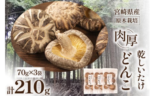 {茧Y ؍͔|   ǂ 70g 3 v210g [{g {茧 s 452061462]  ő   Y{茧s18000E
