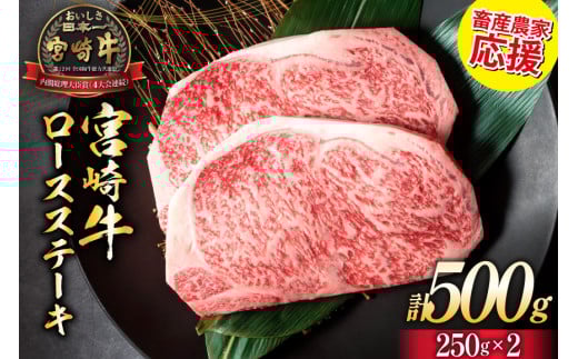 y{Y_Ɖz  {苍 [XXe[L 250g×2 v500g [~`N {茧 s 452061593]  јa Xe[L [X Ⓚ{茧s16000