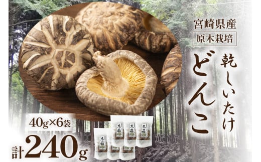 {茧Y ؍͔|  ǂ 40g 6 v240g [{g {茧 s 452061461]  ő   Y{茧s18000E