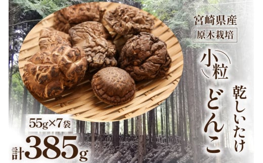 {茧Y ؍͔|   ǂ 55g 7 v385g [{g {茧 s 452061460]  ő   Y{茧s18000E