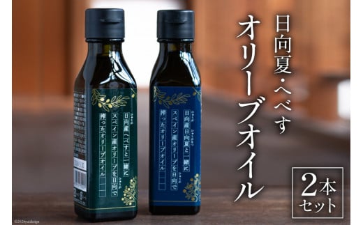  I[uIC ւׂ I[uIC 2{Zbg [aI[u {茧 s 452060739]  I[u Hp  IC I[u{茧s19000EHp