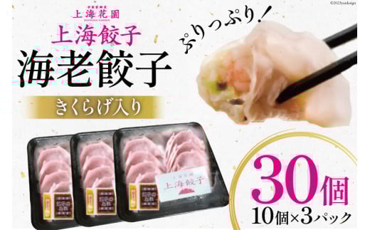 CVLq 炰 10×3 v30 [Tj[K[f {茧 s 452060640] Hi y GrLq Ⓚ Lq 傤 MEU{茧s11000ZbgE؁EHHi