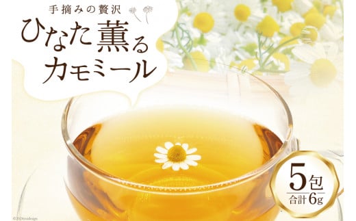 n[u E݂ґ J~[eB[ 1.2g×5 [̉wƂo׎ҋc {茧 s 452060522] n[ueB[ eB[obO  ȈՕ 퉷{茧s3000ER[q[Eg