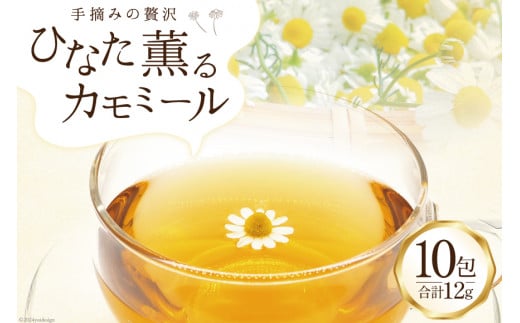 n[u E݂ґ J~[eB[ 1.2g×10 [̉wƂo׎ҋc {茧 s 452060523 ] n[ueB[ eB[obO  ȈՕ 퉷{茧s5000ER[q[Eg