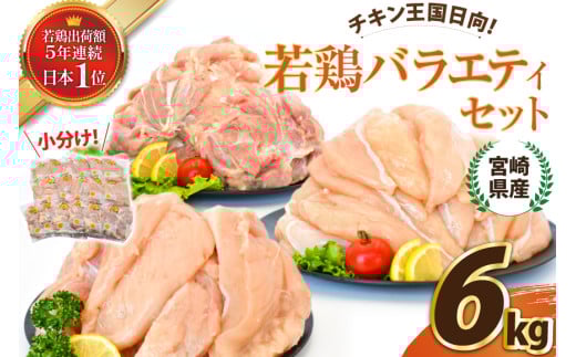{茧Y{oGeBZbg(EނˁE݊e2kg) v6kg [GEeBEV[ {茧 s 452061364] {   ނ˓  TT~  Ⓚ Y{茧s17000{