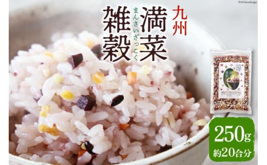 G Y 邾 B G 250g 1 pbN 20 [ILX {茧 s 452061133]      ɂ ٓ  ߋ{茧s5000āEpāEGāE