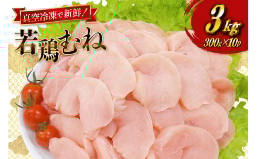 { ނ˓ {茧Y { Ȃ ނːؐg 300g 10p v 3kg Zbg [TRINITY {茧 s 452061349]  ނ {  ^pbN l  Ⓚ {茧s12000{