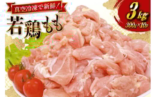 {  {茧Y { ؐg 300g 10p v 3kg Zbg [TRINITY {茧 s 452061351]   { { ^pbN   Ⓚ {茧s14000{