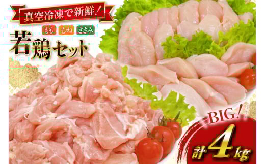 {  Ɩp {茧Y { ؐg 300g 6p ނːؐg 300g 4p ؂Ȃ  250g 4p v4kg Zbg [TRINITY {茧 s 452061336] {  { {ނ˓ ނ˓ TT~ Ⓚ ^pb