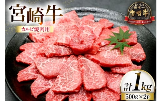  {苍 Jr ēp 500g 2p v 1kg [[JufBO {茧 s 452061522] Ⓚ  јa  A4 A5 ē Ă BBQ o[xL[ Y{茧s22000