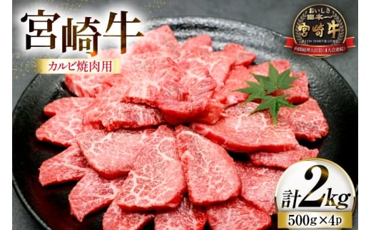  {苍 Jr ēp 500g 4p v 2kg [[JufBO {茧 s 452061523] Ⓚ  јa  A4 A5 ē Ă BBQ o[xL[ Y{茧s42000