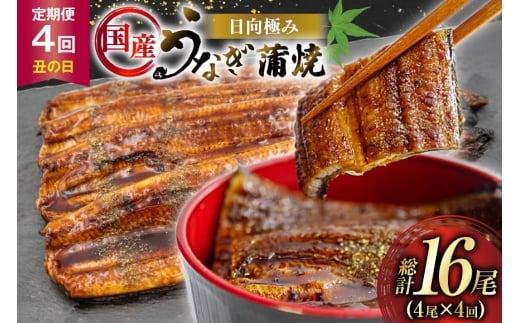 Ȃ Y y N̓ G߂̒ z ɂ Ȃ 4 v480g [Tp[N {茧 s 452061506] Mtg  ^pbN V EiM Ȃ̊  Ă{茧s72