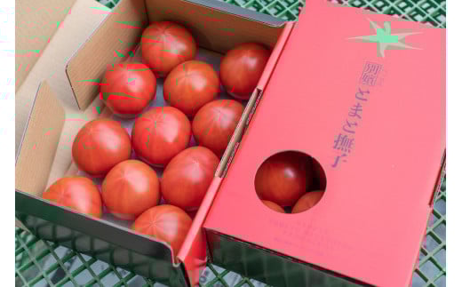 【予約商品】アグライズ 別嬪とまと撫子 約2kg(約1kg箱×2)【配送時期:2月〜3月】広島県東広島市10000野菜・きのこトマト