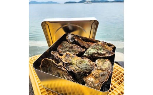 広島 安芸津産 殻付き牡蠣 カンカン焼き 約15〜20個【配送不可:離島】広島県東広島市12000魚介・海産物貝類