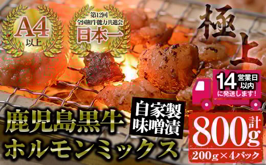 <14営業日以内発送!>鹿児島黒牛 和牛ホルモンミックス 自家製味噌漬け(計800g・200g×4P) 国産 鹿児島県産 黒毛和牛【佐多精肉店】A24-v02鹿児島県曽於市14000肉牛肉