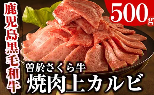 曽於さくら牛焼肉ギフト(上カルビ500g) 黒毛和牛 上カルビ 焼き肉【福永産業】A16-v01鹿児島県曽於市17000肉牛肉