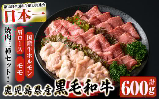 鹿児島県産黒毛和牛の焼き肉セット(和牛ロース肉、モモ肉、国産牛ホルモン 各200g 計600g) 黒毛和牛 焼肉 冷凍【ナンチク】A6-v01鹿児島県曽於市15000肉牛肉