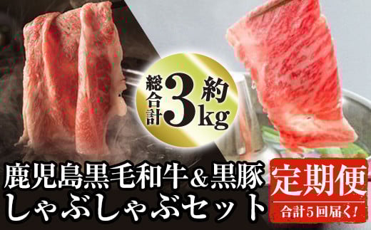 <定期便・全5回>鹿児島県産黒毛和牛と黒豚のしゃぶしゃぶセット(各300g×2×5回・計3kg) 黒毛和牛 黒豚 定期便【ナンチク】T1-v01鹿児島県曽於市85000肉牛肉