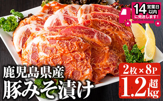 <14営業日以内発送!>鹿児島県産 豚みそ漬けセット(計1.28kg・2枚×8p) 国産 豚肉 肩ロース【佐多精肉店】A158-v02鹿児島県曽於市14000肉豚肉