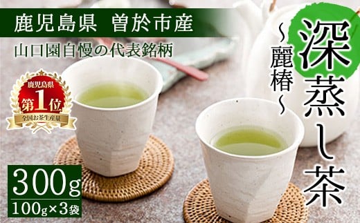 <お茶生産量日本一の鹿児島県産!>鹿児島県曽於市産 小さいお茶屋の深蒸し茶〜麗椿〜(茶葉100g×3本・合計300g) 国産 緑茶 深蒸し茶【お茶の山口園】A186-v01鹿児島県曽於市11000お茶・飲料お