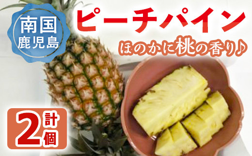 yʌz]̃s[`pC(v2E800g`1200g×2) Y ʕ t[cy哿YƁzA106-v02]s15000ʕEt[c̑ ʕEt[c