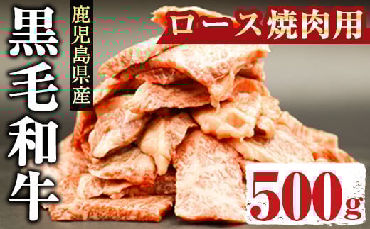 鹿児島県産黒毛和牛ロース500g(焼肉用カット) 国産 鹿児島県産 黒毛和牛【アグリおおすみ】A288-v01鹿児島県曽於市17000肉牛肉