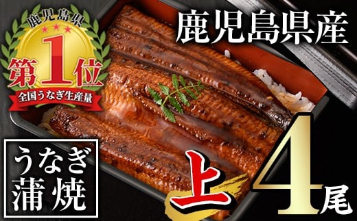 無投薬!鹿児島県産うなぎ蒲焼セット<上>(計560g以上・ 140g以上×4尾) タレ・山椒付き 鰻 ウナギ 国産【西日本養鰻】B144-v01鹿児島県曽於市25000魚介・海産物うなぎ