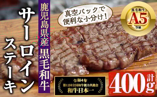 鹿児島県産 A5等級 黒毛和牛 サーロインステーキ (200g×2P・計400g) 国産 牛肉  ステーキ【アグリおおすみ】B155-v01鹿児島県曽於市23000肉牛肉