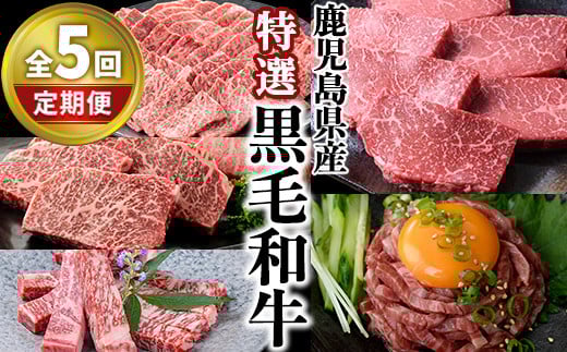 <定期便・全5回>カミチク 特選黒毛和牛定期便 国産 鹿児島県産 黒毛和牛 【カミチク】T10-v01鹿児島県曽於市86000肉牛肉