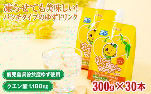 30{E1񂨓͂䂸BEH[^[(300g×30{^1ApE`^Cv) 䂸 hN pE`yЍzA452]s9000Eʏ`E؈
