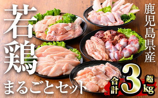 鹿児島県産 若鶏まるごとセット(計3.05kg) 小分け 鶏肉 セット【TRINITY】A467-v02鹿児島県曽於市15000肉鶏肉