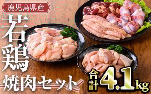 鹿児島県産 若鶏焼肉セット(計4.1kg) 小分け 鶏肉 セット【TRINITY】A470-v02鹿児島県曽於市18500肉鶏肉