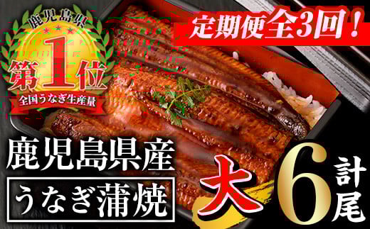 【定期便全3回】無投薬!鹿児島県産うなぎ蒲焼セット<上>(計840g以上・140g以上×2尾×3回) タレ・山椒付き 鰻 ウナギ 国産【西日本養鰻】T26鹿児島県曽於市45000魚介・海産物うなぎ
