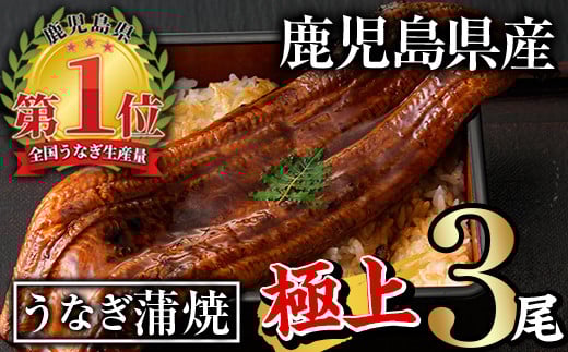 無投薬!鹿児島県産うなぎ蒲焼セット<極上>(計560g以上・160g〜236g×3尾) タレ・山椒付き 鰻 ウナギ 国産【西日本養鰻】A507-v01鹿児島県曽於市23000魚介・海産物うなぎ