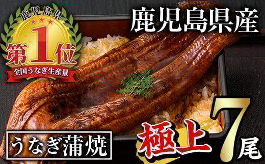 無投薬!鹿児島県産うなぎ蒲焼セット<極上>(計1.3kg以上・ 160g〜236g×7尾) タレ・山椒付き 鰻 ウナギ 国産【西日本養鰻】D30-v01鹿児島県曽於市45000魚介・海産物うなぎ