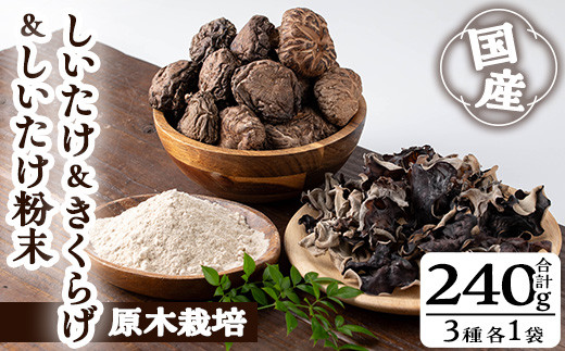 しいたけ+しいたけ粉末+きくらげセット(合計240g・3種) しいたけ きのこ キクラゲ【九南サービス(タマチャンショップ)】A503-v01鹿児島県曽於市11000野菜・きのこきのこ